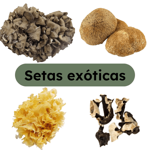 Setas Invisiveis Setas deshidratadas exóticas - Ava